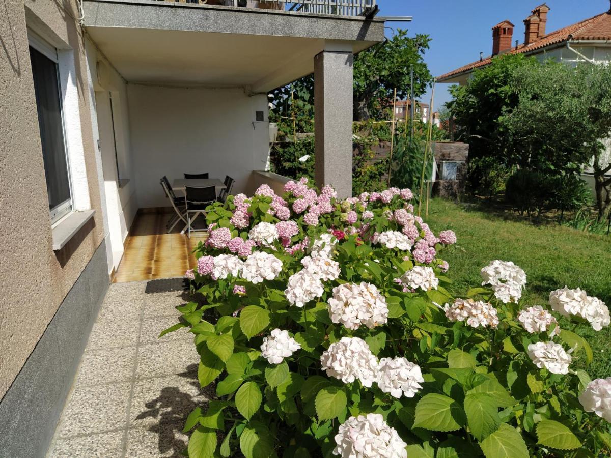 Apartments Buket Jagodje Екстериор снимка